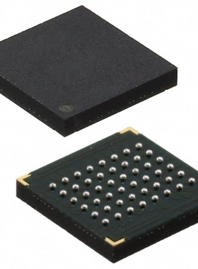 71V016SA12BFG 71V016SA12BFG8 71V016SA12BFGI