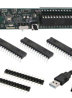DM330013-2 开发板 《 MICROSTICK II DSPIC33/24FJ/H/32    》