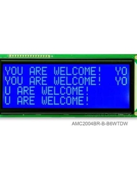 AMC2004HR-B-Y6WFDY AMC2004CR-B-Y6NFDY AMC2004HR-B-W6WFDW