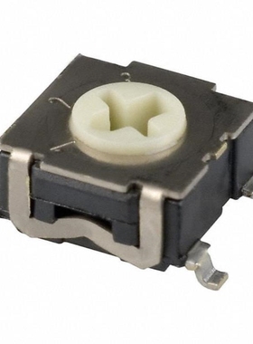 RTE0300G04 RTAP31S12WFLSS RTE0301N04