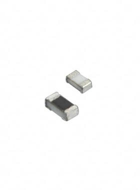 RG1608P-302-B-T5  Susumu