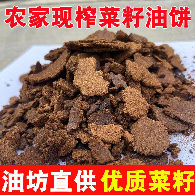 贵州现榨菜籽油饼蔬菜肥料有机肥料饼肥种花种菜钓鱼打窝