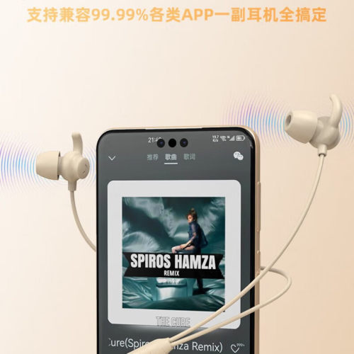 无损音质有线耳机入耳式舒适降噪高音质Type-c杜比全景音无感佩戴