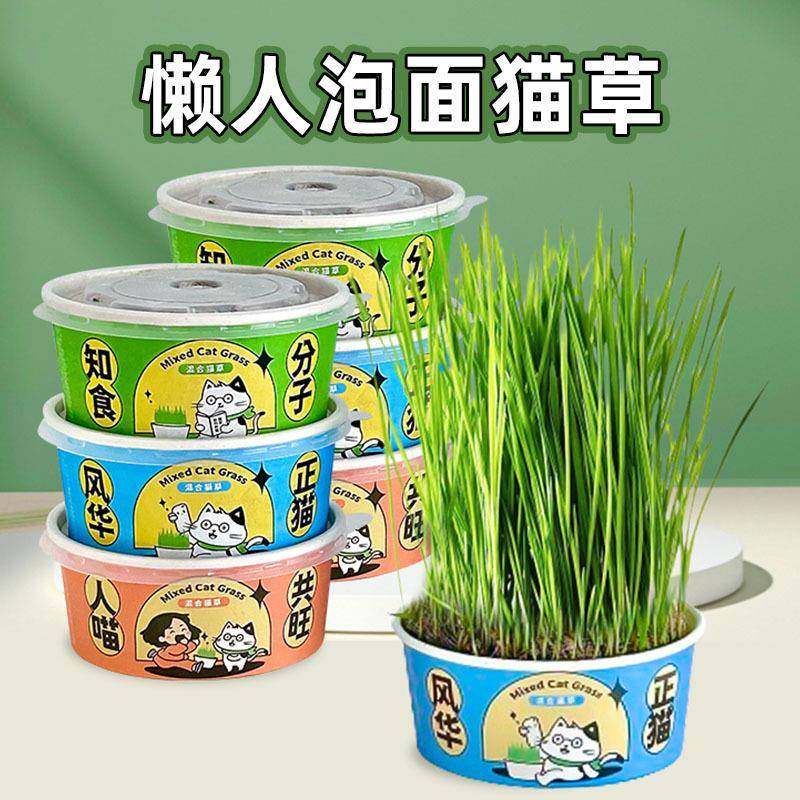 宠物猫草种子懒人泡面杯猫草盒子宠物用品促消化吐毛球猫咪零食