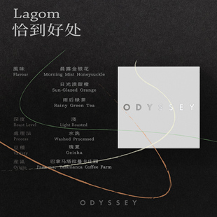 Lagom 恰到好处|奥德赛 巴拿马塔拉曼卡庄园水洗瑰夏精品手冲咖啡