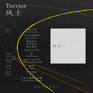 巴拿马黛博拉庄园水洗瑰夏 风土 Terrior 15g*2