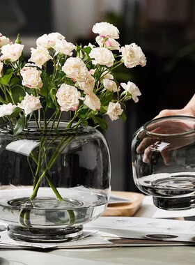 ins风圆形大肚玻璃花瓶简约创意水培花器客厅插花摆件装饰工艺品