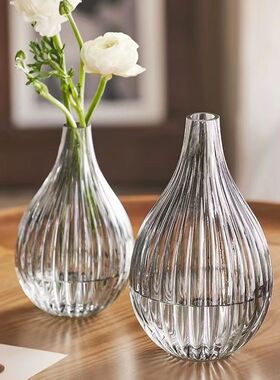 轻奢北欧玻璃花瓶透明创意插花摆件装饰简约水培花器家居装饰品