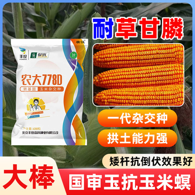 转基因玉米种子抗虫高产大棒正品