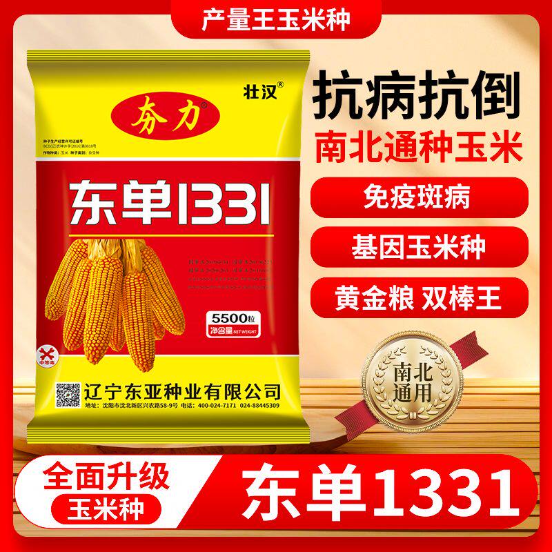 正品国审玉米种子大全抗病抗倒抗旱矮杆大棒高产抗旱涝优质苞米种
