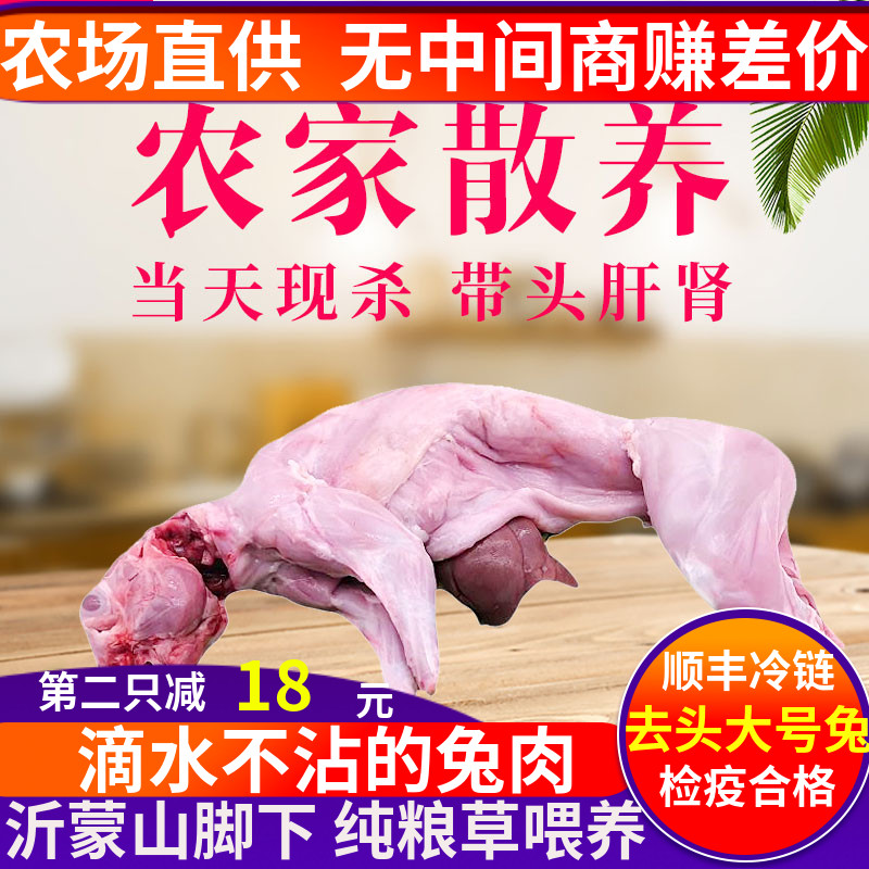 顺丰包邮检疫合格不泡水重量足