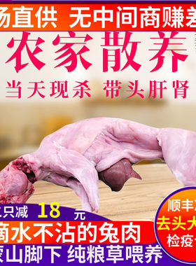 顺丰包邮检疫合格不泡水重量足