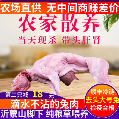 顺丰包邮检疫合格不泡水重量足