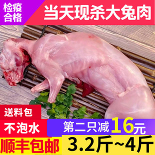 新鲜兔肉整只现杀鲜兔子肉冷冻兔农家散养真空大兔肉3.2斤 4斤