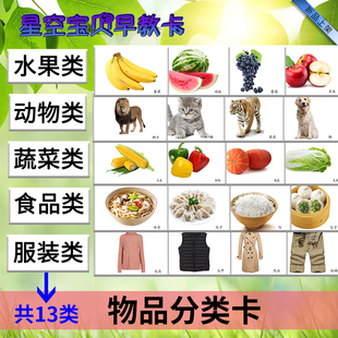 物品分类卡片幼儿园思维认知提升训练自闭症孤独症特泛化习特教具