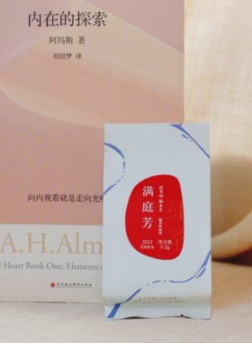 南唐拾茶掌柜推荐正山小种银骏眉