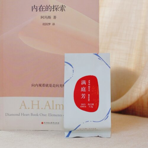 南唐拾茶掌柜推荐正山小种银骏眉