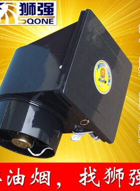狮强厨房油烟排气扇家用强力换气扇10寸窗式静音吸抽通风机S603A