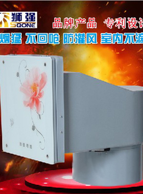 狮强厨房排气扇强力油烟换气扇10寸窗式风机静音吸抽油烟机S520A