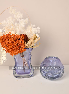 现代简约透明紫色水培小插花器样板间客厅玄关茶几台面装饰干花瓶