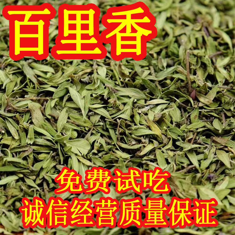 百里香50克/份百里香调料百里香碎西餐调料欧芹黑胡椒罗勒5件包邮