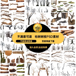 树皮树枝PSD素材效果图枯树枯木ps树桩植物免抠木头苔癣树干植物
