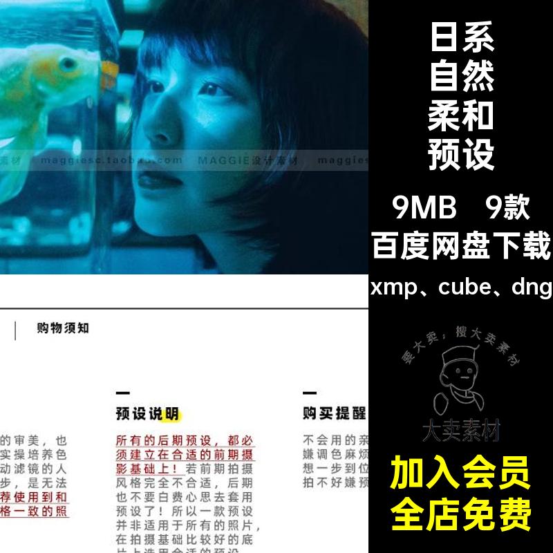 9款小清新文艺预设日系风光日系自然柔和达芬奇lut滤镜Lr预设合集