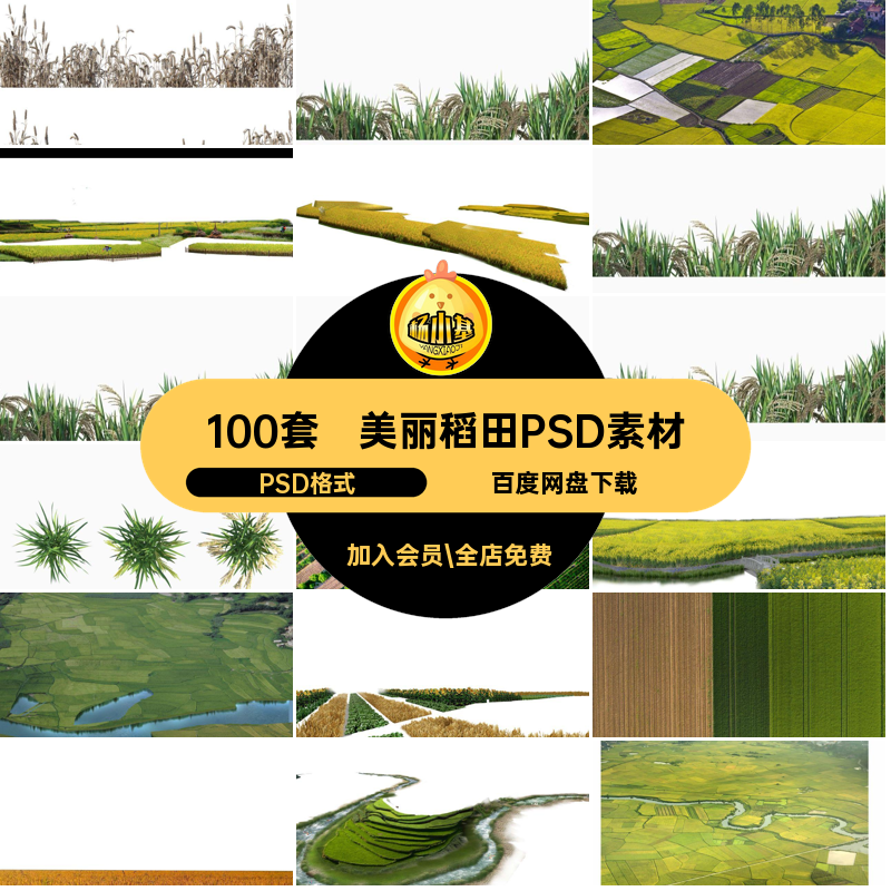100套鸟瞰稻田PSD素材平面免菜地PSD格式田园ps美丽乡村效果图