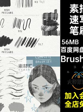 素描速写笔刷纹理平板画笔Brushset肌理插Heygiudi18款噪颗粒木炭