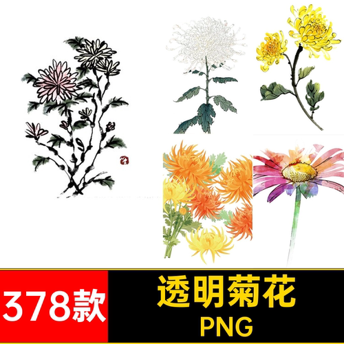 378款淡雅雏菊PNG素材背景ps装饰水墨淡雅小中国风雏菊中