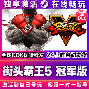电脑 CDKEY兑换码 街头霸王5冠军版 steam游戏全球区国区激活码