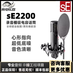 大振膜电容麦克风 专业录音配音K歌设备主播直播话筒 2200 美国SE