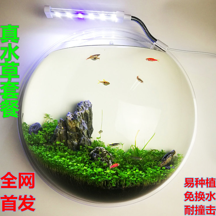 微景壁挂鱼缸挂墙饰礼品房间装饰品挂墙鱼缸花瓶亚克力花瓶草缸|ruв категории Домашний быт, роспись - от Buy2taobao.com для оказания профессиональной услуги покупки агента Taobao