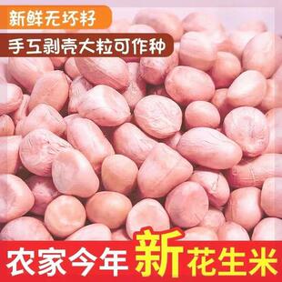 ￥新疆包邮西藏现剥新花生米生新货特级粉皮新鲜大粒花生米不带壳