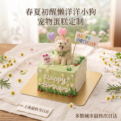 懒洋洋小狗定制狗狗蛋糕低脂低磷纯肉冻干蛋糕胚猫蛋糕老年犬友好