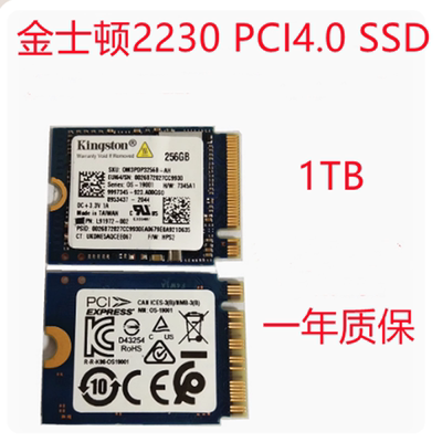 金士顿OM31tb2230固态硬盘