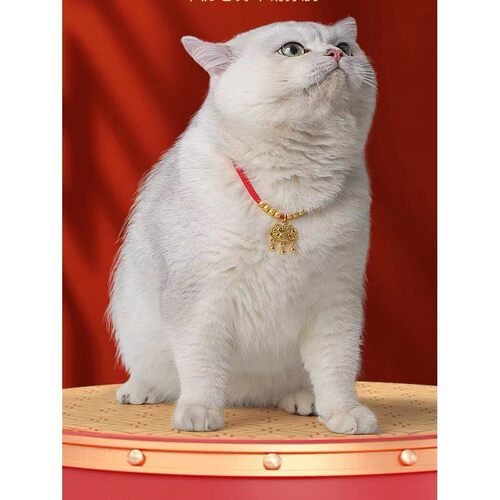 猫咪项圈金锁长命锁平安锁可调节宠物脖子饰品狗狗项炼猫咪脖圈