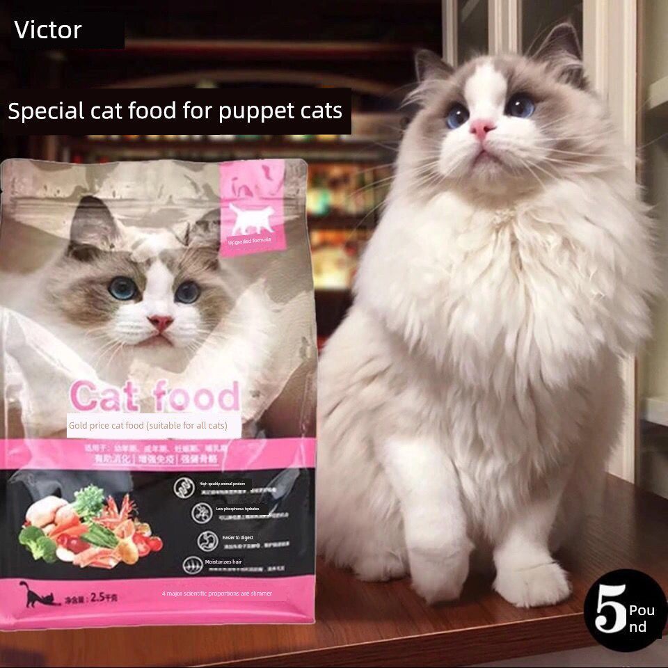 布娃娃猫专用猫粮小猫，成年猫，鲑鱼，深海育肥，鳃和毛发美容，