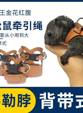 松鼠牵引绳背带链子花枝鼠小松鼠绳子专用脖绳溜绳宠物用品大全