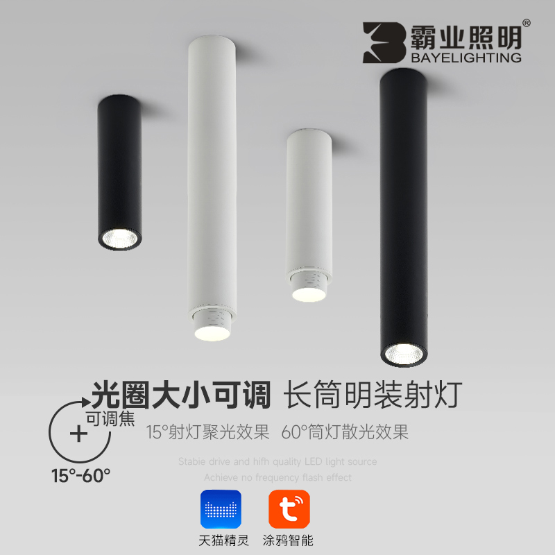 明装射灯调光调色涂鸦展厅射灯