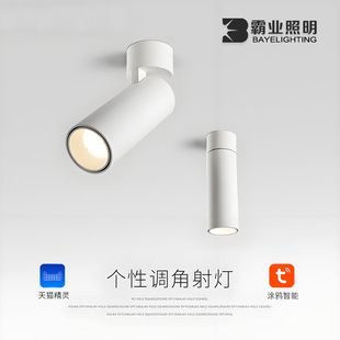 明装 射灯折叠摇头可调角度免开孔吸顶简约涂鸦zigbee防眩无主灯