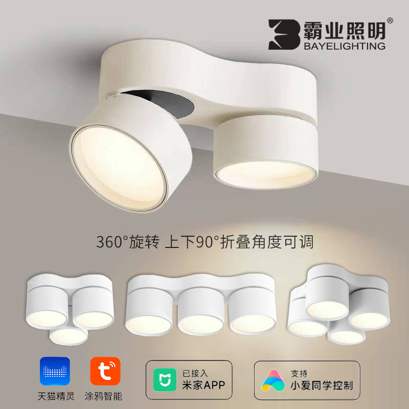 天花明装筒灯调光调色涂鸦ZigBee