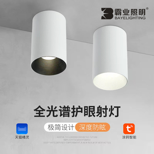 明装 筒灯 射灯小山丘智能防眩家用商用店铺工程免开孔吸顶明装