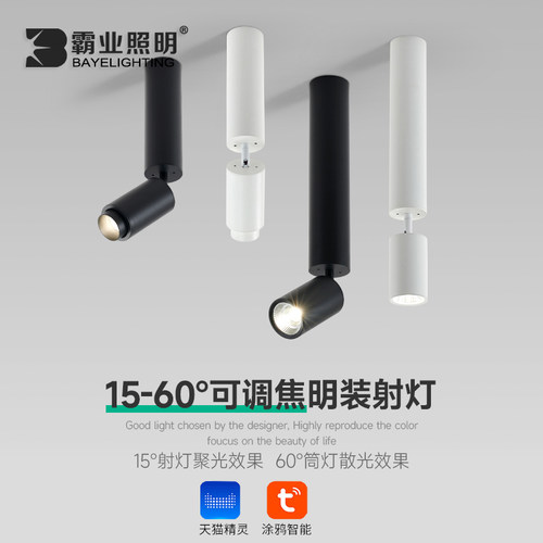 明装射灯折叠调光涂鸦Zigbee智能