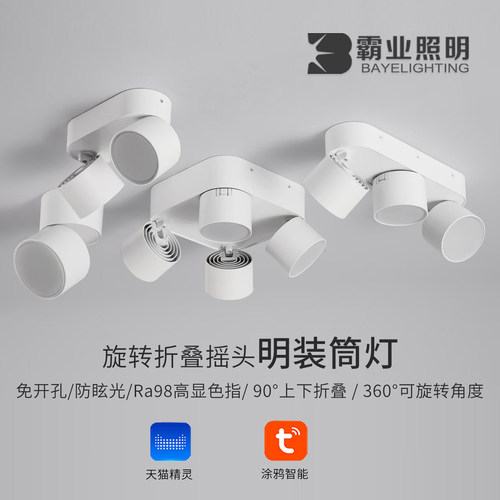 明装天花筒灯家用过道调光调色灯