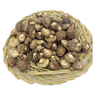 爆款特小香菇珍珠菇西峡香菇干货特产金钱菇迷你菇250克净重1.5-2