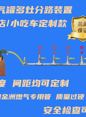 4分燃气专用管饭店小吃车多灶分路装置可过消防液化气煤气专用管