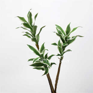 仿真百合竹 紫露草 手感竹家居室内软装装饰空间美陈推荐花材叶材