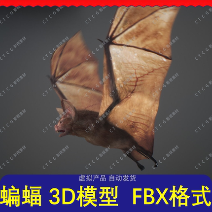 蝙蝠 3D模型 FBX格式 汽车设计游戏建模素材