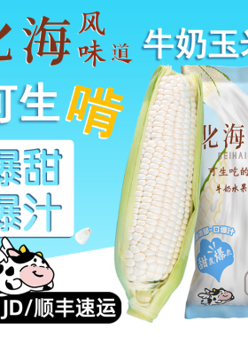 北海风味牛奶水果玉米甄选新鲜冰糖甜玉米现摘爆浆开袋即食可生吃